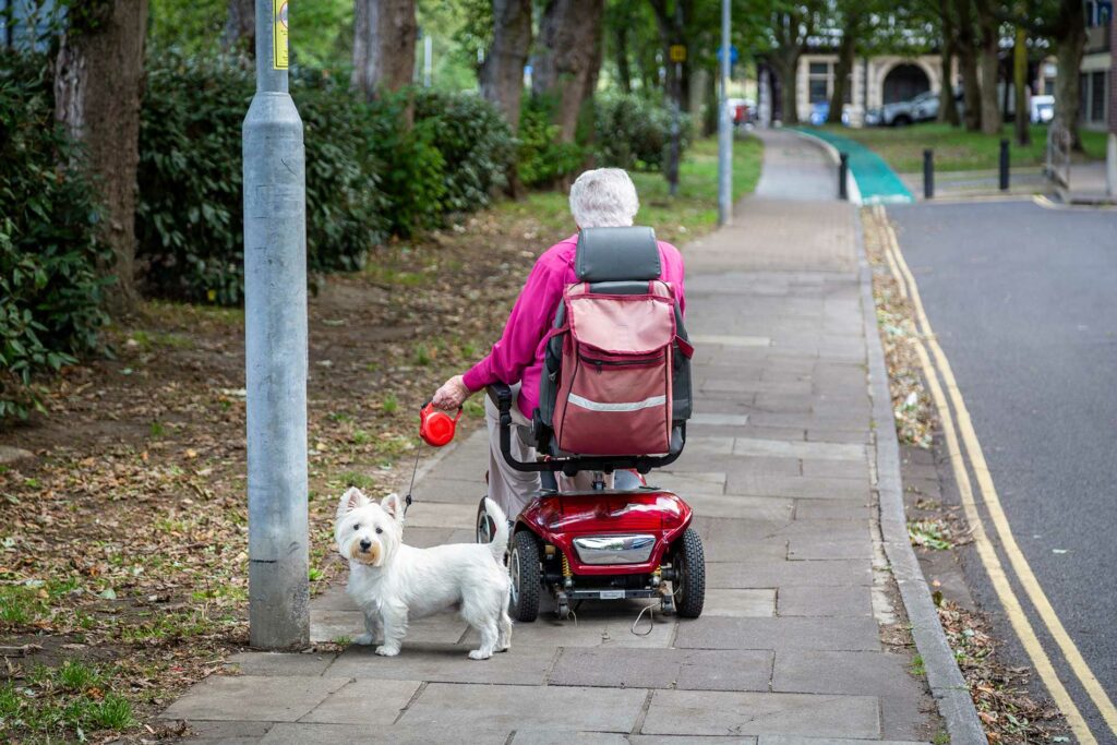elderly-lady-on-a-scooter-with-her-dog